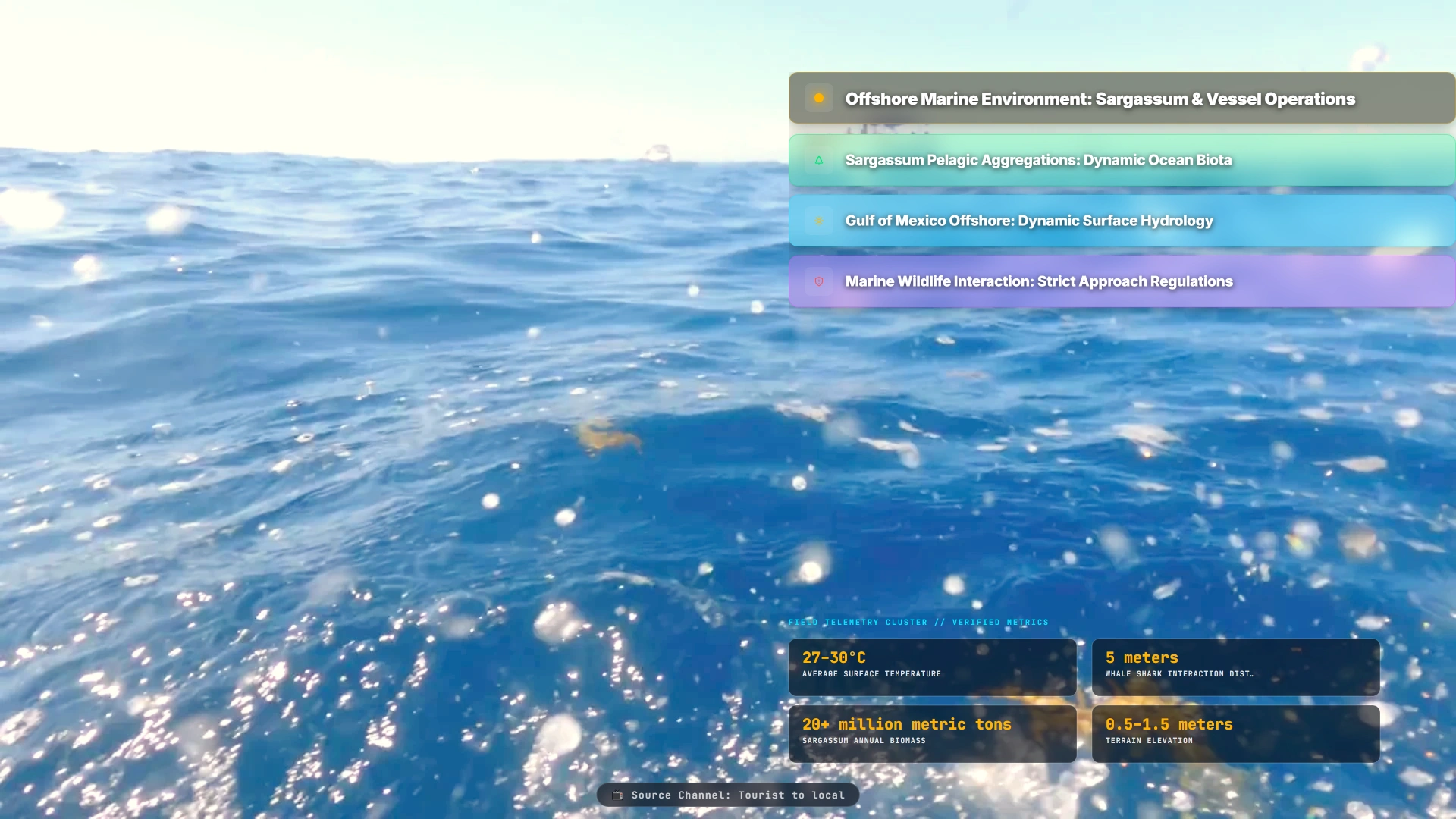 Offshore Marine Environment: Sargassum & Vessel Operations