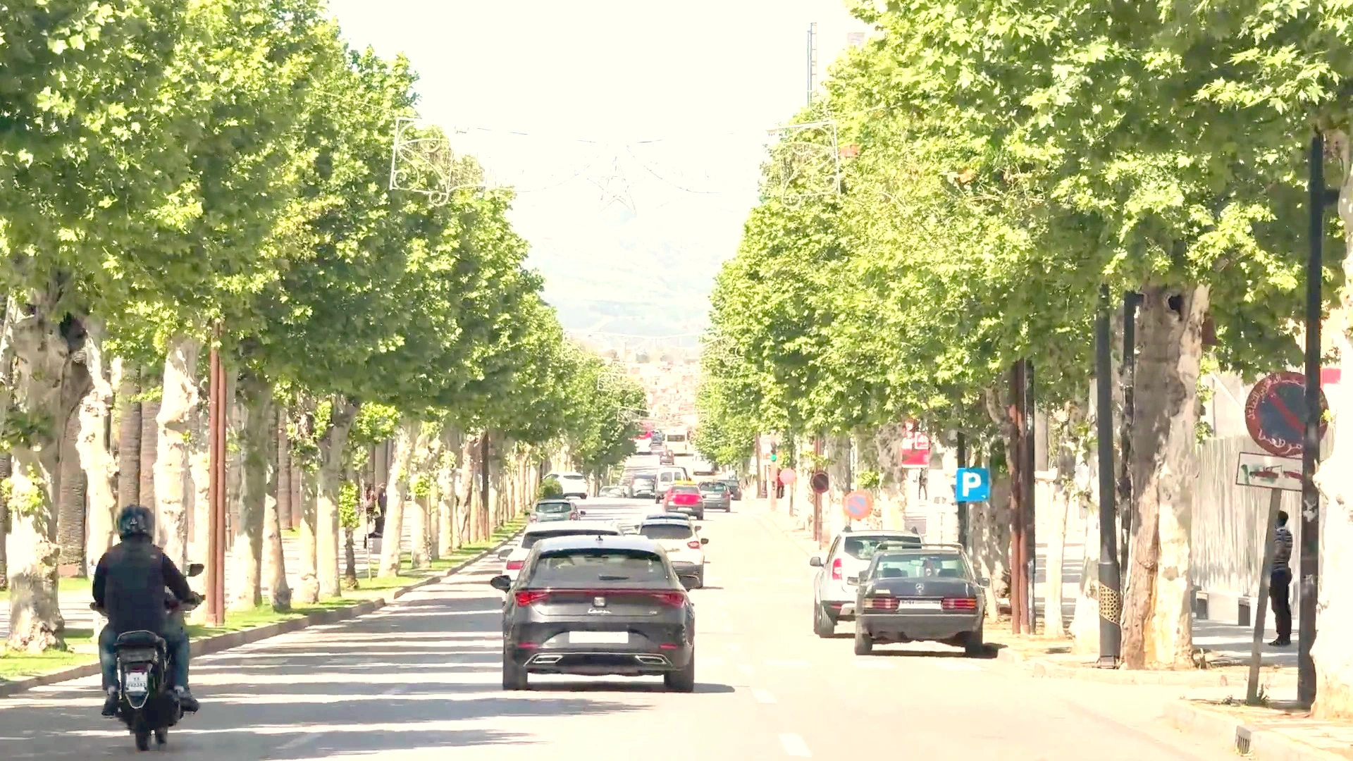 Fez Urban Avenue: Green Infrastructure & Modern Transit