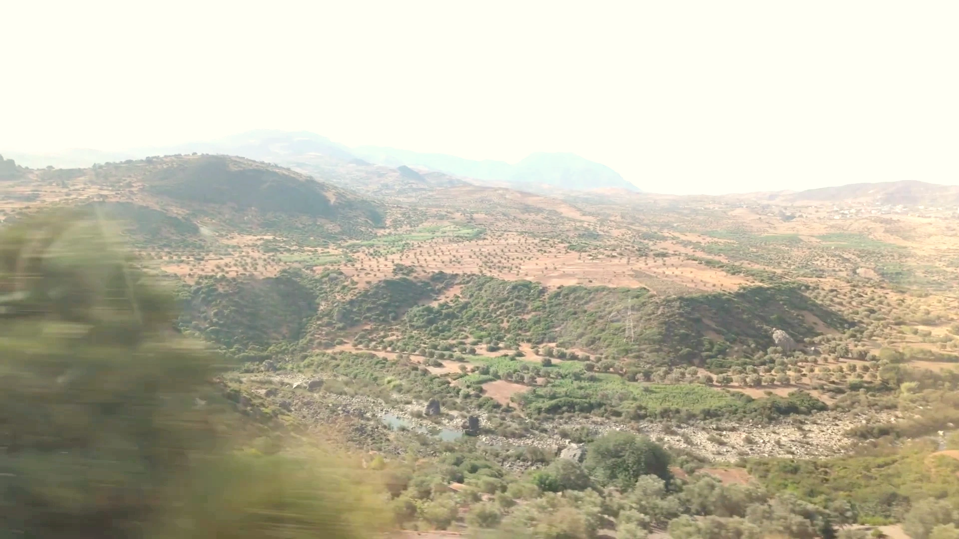 Rif Foothills Agriculture: Olive Groves & Waterway Terraces